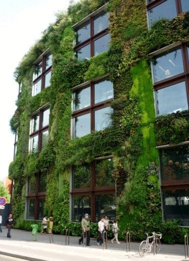 Living Wall | Green Wall and Vertical Garden London | The Athenaeum