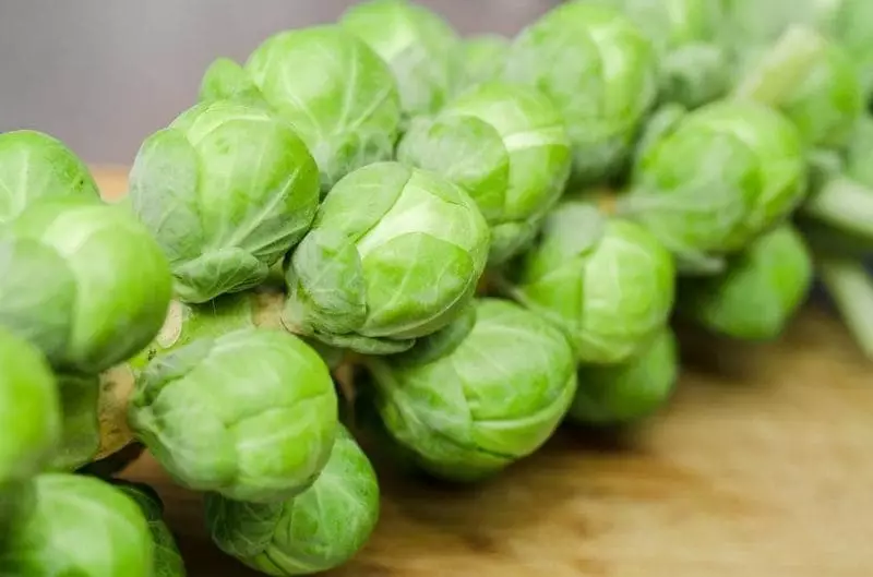 Sprouts